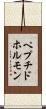ペプチドホルモン Scroll