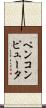 ペンコンピュータ Scroll