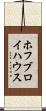 ホフブロイハウス Scroll