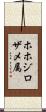 ホホジロザメ属 Scroll
