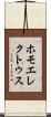 ホモエレクトゥス Scroll