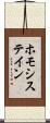 ホモシステイン Scroll