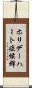 ホリデーハート症候群 Scroll