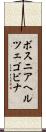 ボスニア・ヘルツェゴビナ Scroll
