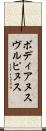 ボディアヌスヴルピヌス Scroll