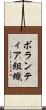 ボランティア組織 Scroll