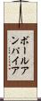 ボールアンパイア Scroll