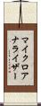 マイクロアナライザー Scroll
