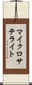 マイクロサテライト Scroll