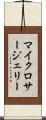 マイクロサージェリー Scroll