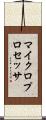 マイクロプロセッサ Scroll