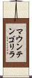 マウンテンゴリラ Scroll