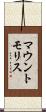 マウントモリス Scroll