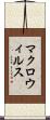 マクロ・ウィルス Scroll