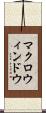 マクロ・ウィンドウ Scroll