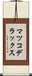 マツコデラックス Scroll