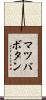 マツバボタン Scroll