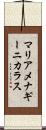 マリアメナギーニカラス Scroll
