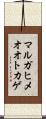 マルガヒメオオトカゲ Scroll