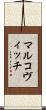 マルコヴィッチ Scroll