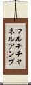 マルチチャネルアンプ Scroll