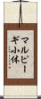 マルピーギ小体 Scroll