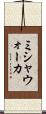 ミシャウォーカ Scroll