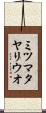 ミツマタヤリウオ Scroll