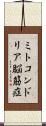 ミトコンドリア脳筋症 Scroll