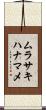 ムラサキハナマメ Scroll