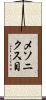 メソニクス目 Scroll