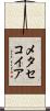 メタセコイア Scroll