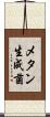 メタン生成菌 Scroll