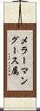 メラーマングース属 Scroll