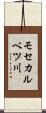モセカルベツ川 Scroll