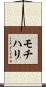 モチハリ Scroll