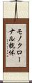 モノクローナル抗体 Scroll