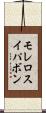 モレロスイパボン Scroll