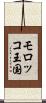 モロッコ王国 Scroll