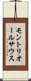 モントリオールサウス Scroll