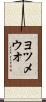 ヨツメウオ Scroll