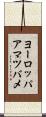 ヨーロッパアマツバメ Scroll