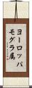 ヨーロッパモグラ属 Scroll