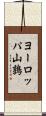 ヨーロッパ山鶉 Scroll