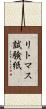 リトマス試験紙 Scroll