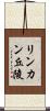 リンカン丘陵 Scroll