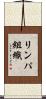 リンパ組織 Scroll