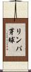 リンパ芽球 Scroll