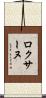 Roxane Scroll