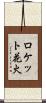 ロケット花火 Scroll